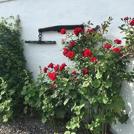 Vejle Golf Lejlighed Børkop