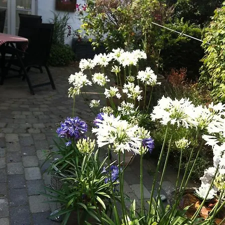 Vejle Golf Lejlighed Børkop