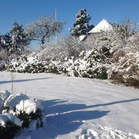 Vejle Golf * Børkop