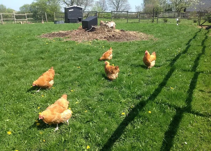 Vejle Golf Apartment *