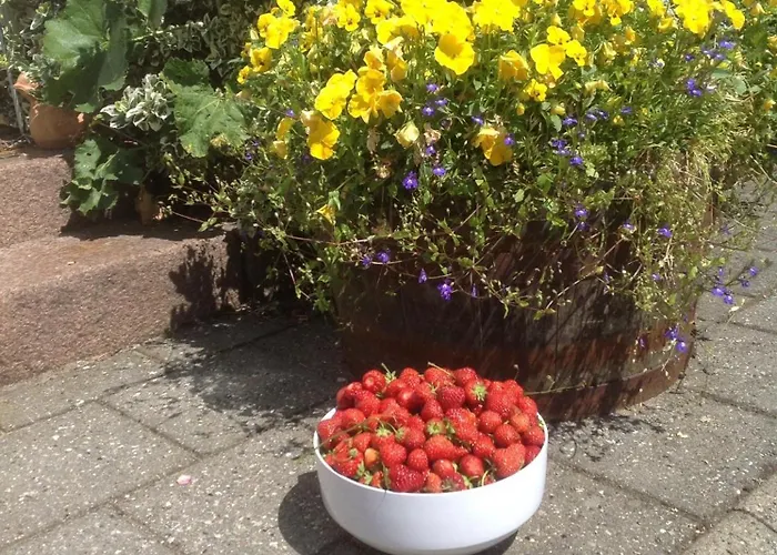 Vejle Golf Apartment *