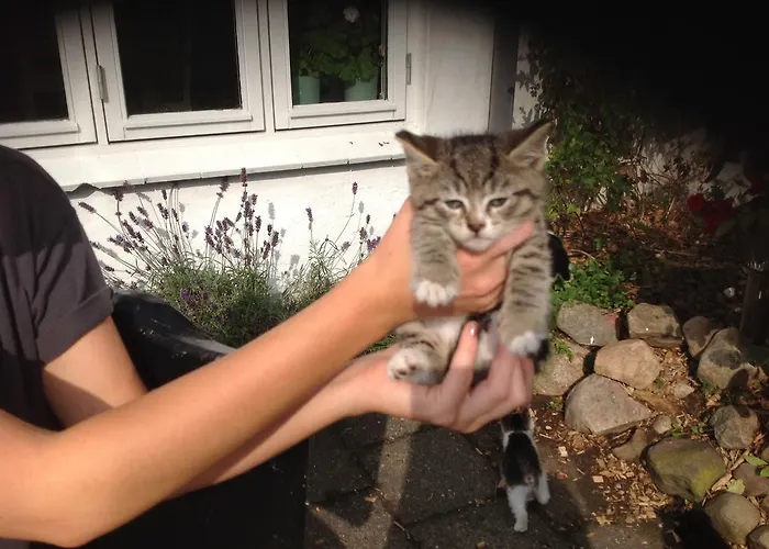 Apartment Vejle Golf *