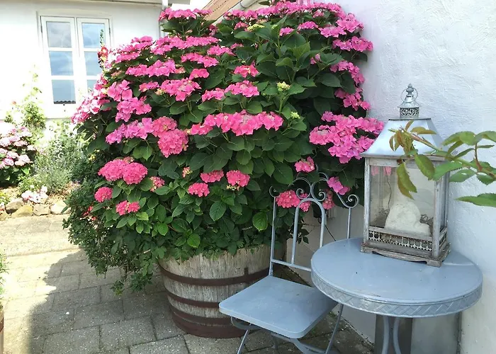 Apartment Vejle Golf *