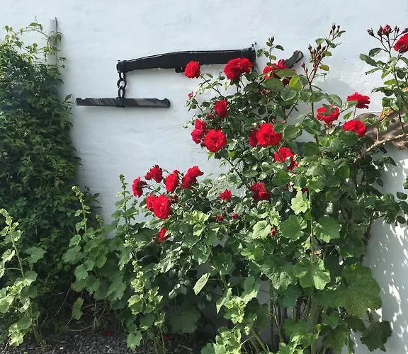 Vejle Golf Apartment Borkop