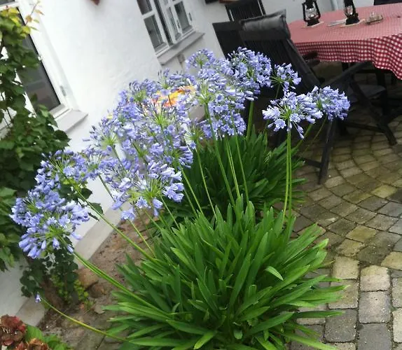 Apartment Vejle Golf Borkop