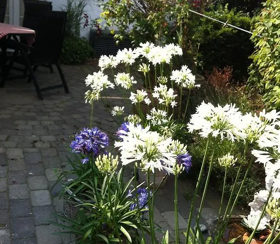 Vejle Golf Apartment Borkop