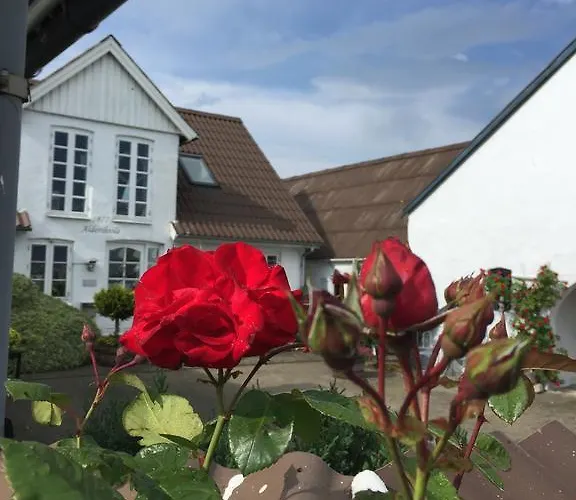 Apartment Vejle Golf