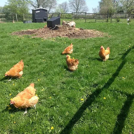 Vejle Golf Apartment *