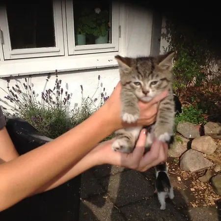 Appartement Vejle Golf *