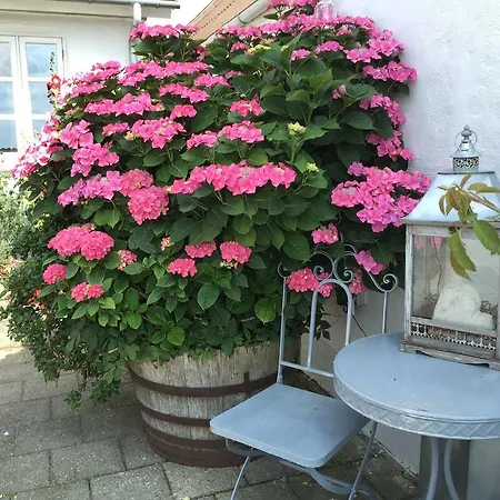Apartment Vejle Golf *