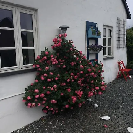 Vejle Golf * Borkop