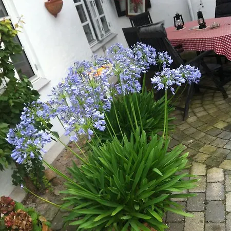 Apartment Vejle Golf Borkop