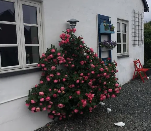 Vejle Golf * Børkop